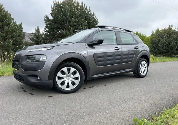 Citroen C4 Cactus cena 39900 przebieg: 96898, rok produkcji 2017 z Żory małe 254